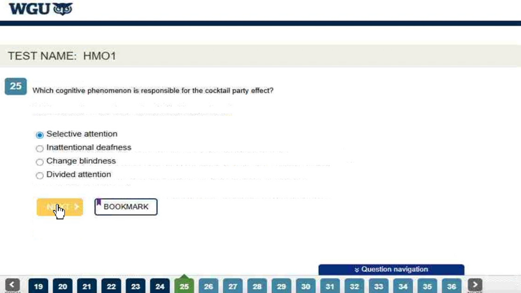 WGU D570 Cognitive Psychology OA2